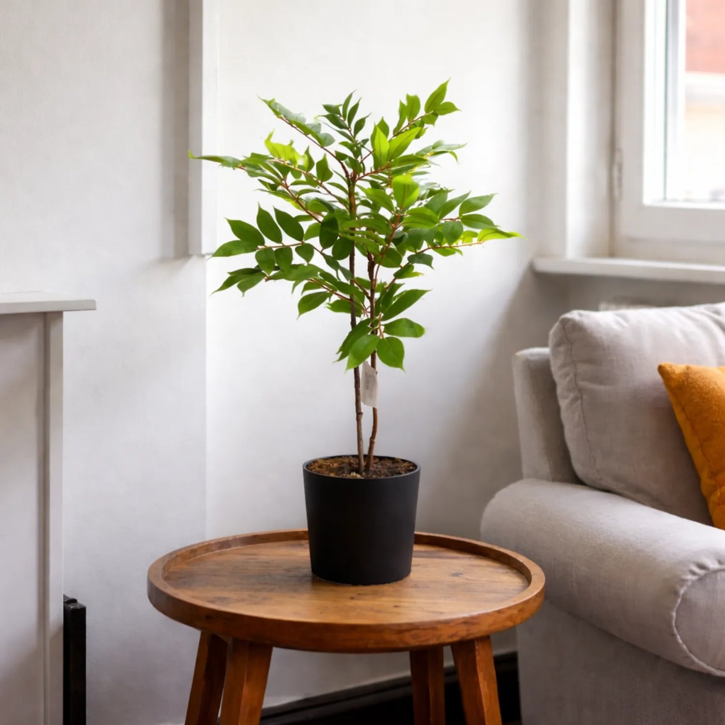 Artificial Ficus Tree in Pot 35 in | Faux Indoor Green Plant Decor