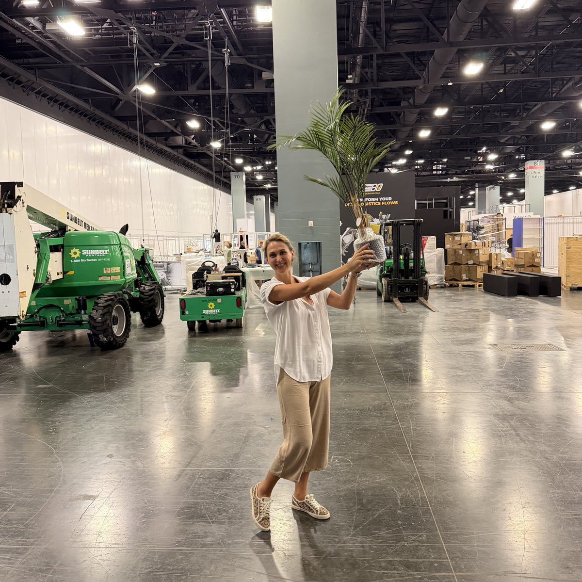 From France to Miami: The Story of Unexpected Trust and Greenery  Elegance