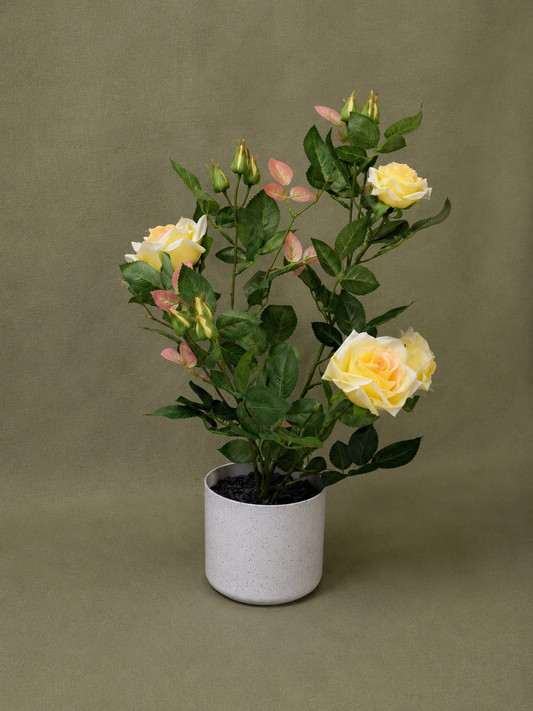 Artificial Rose Plant 54 cm with White Pot