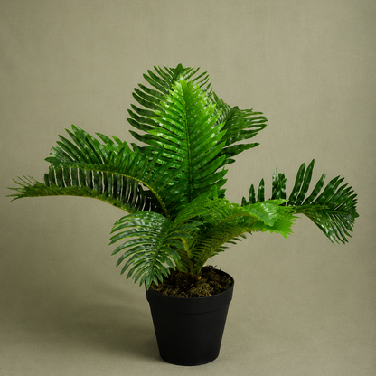Artificial Palm Tree with Pot – Premium Compact Resort-Style Floor & Tabletop Palm