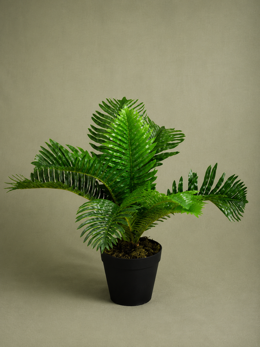 Artificial Palm Plant 20” (50 cm) in Black Pot | Tropical Faux Plant for Home, Office & Store Display