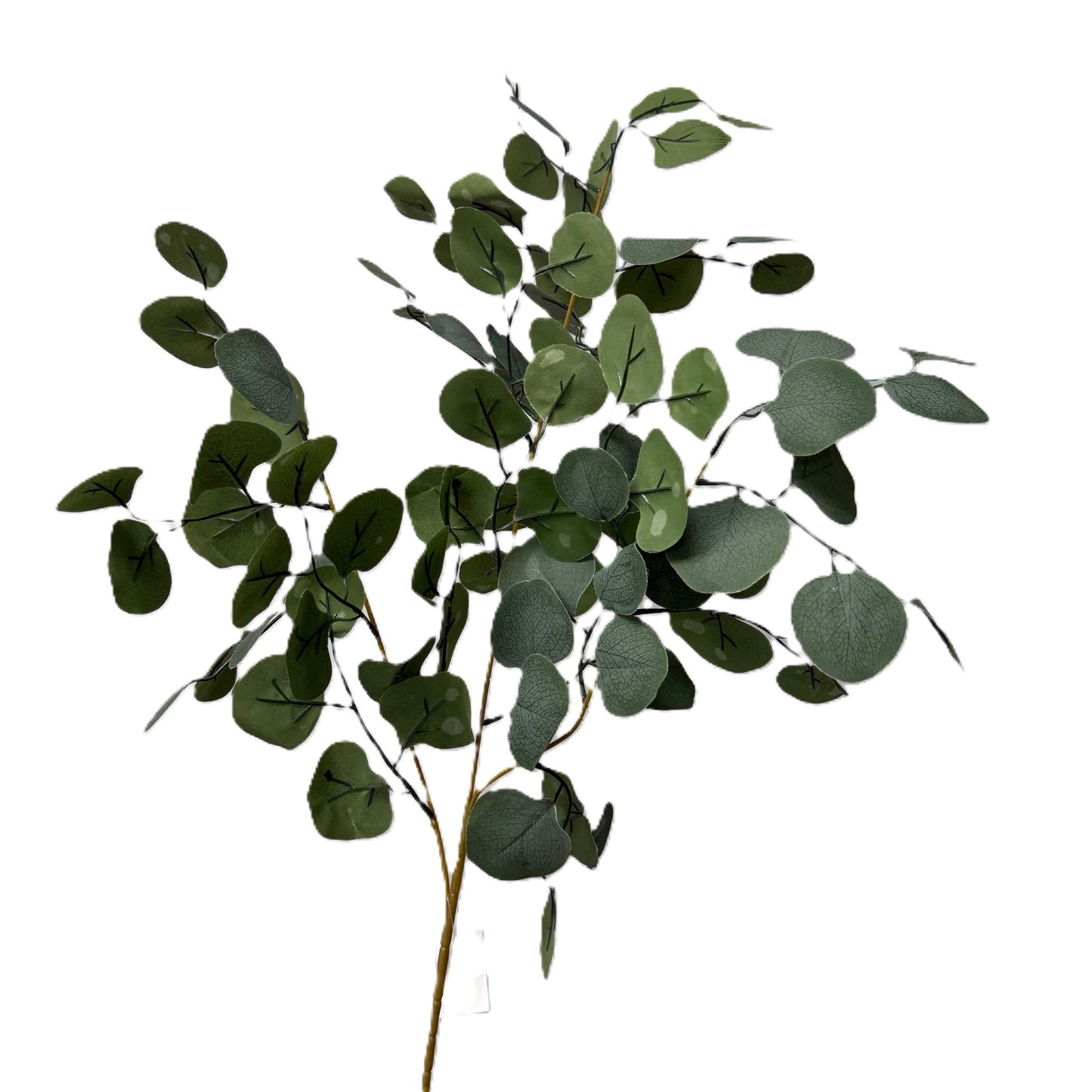 Artificial Eucalyptus Stick | LGC-VH