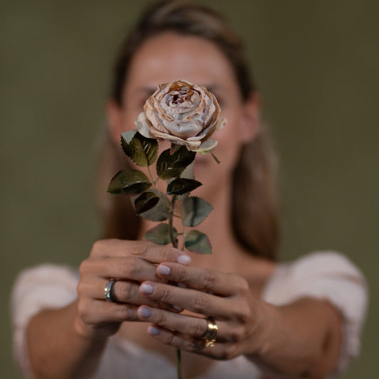 Artificial Rose Stem- Vintage Rose & Cream LGC/PA-IR