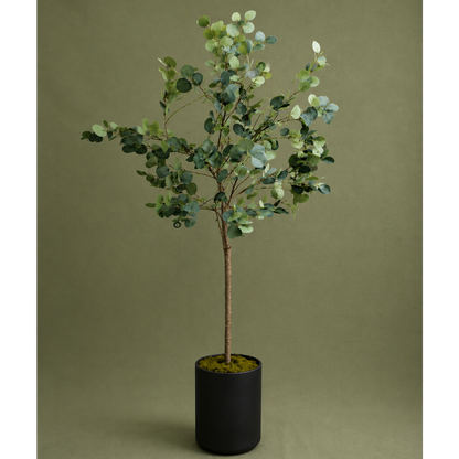 Eucalyptus with Pot (170cm) – Premium Tall Architectural Artificial Floor Tree