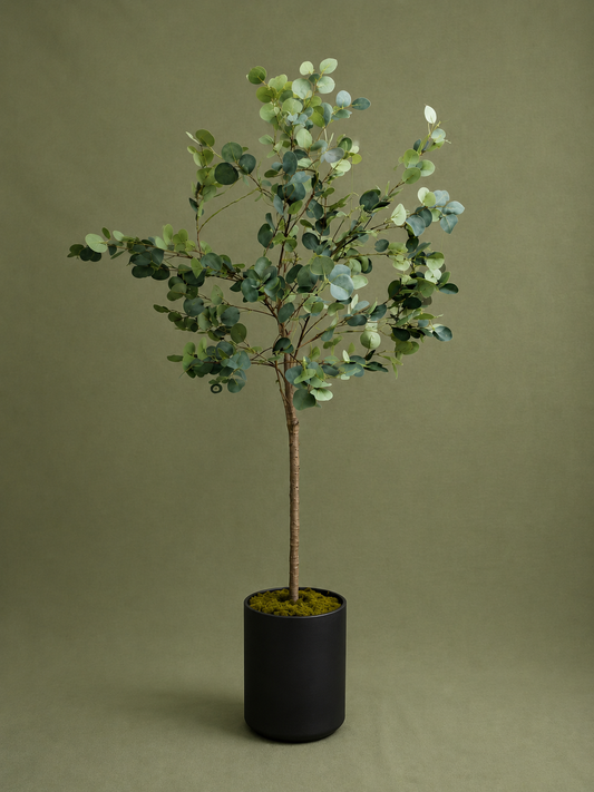 Artificial Eucalyptus Tree 170 cm with Black Pot