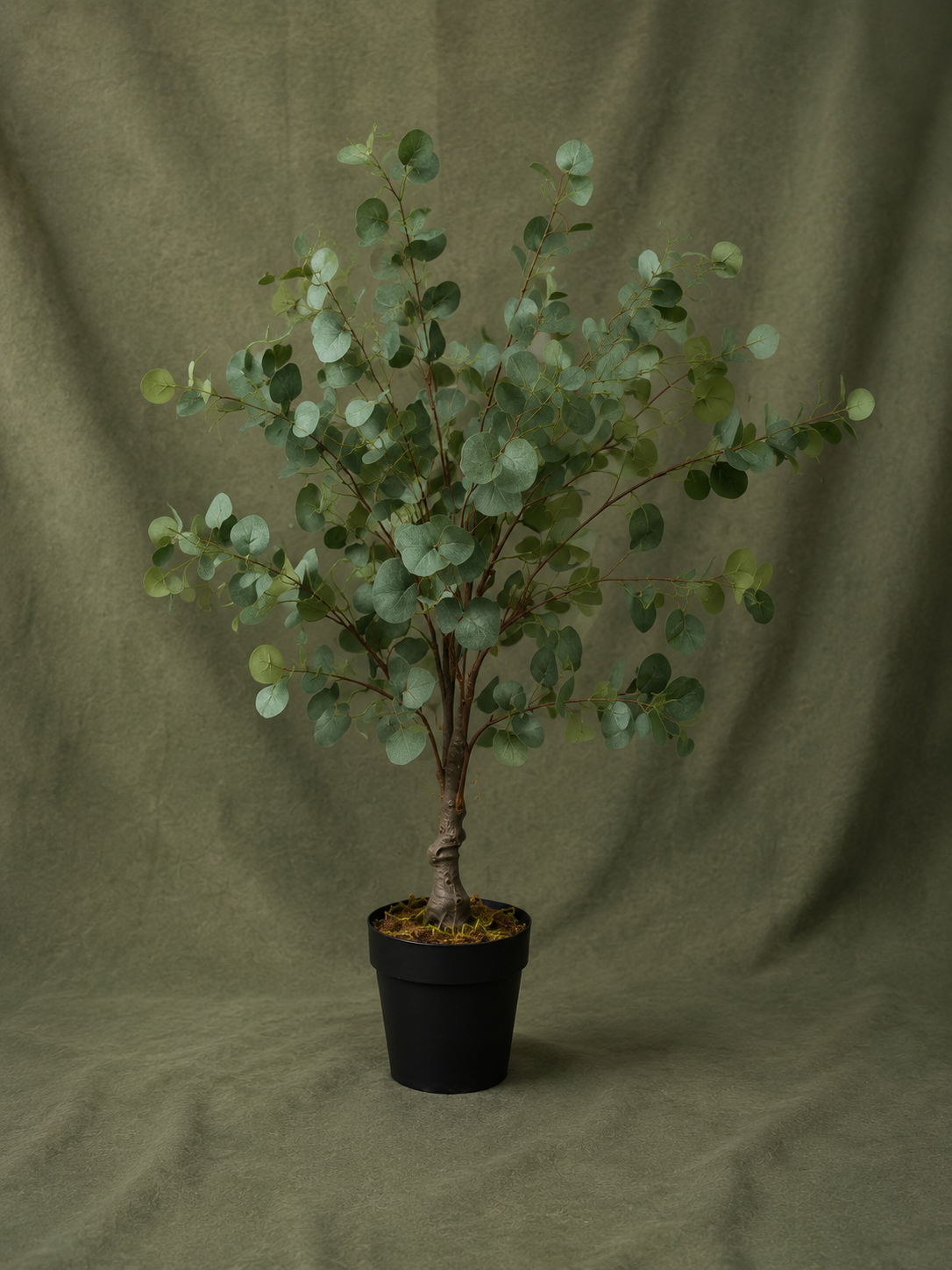 Artificial Eucalyptus Plant 85 cm with Black Pot
