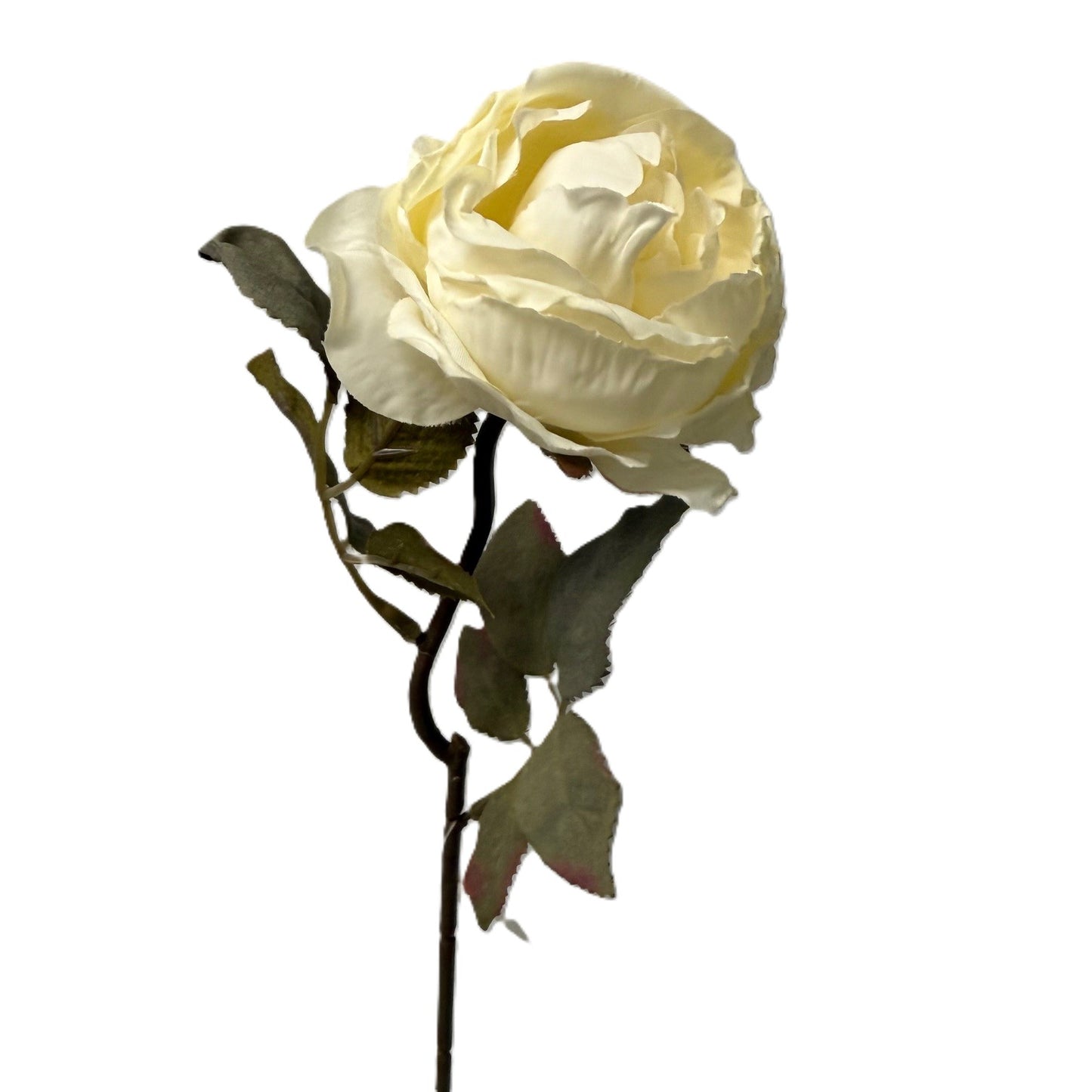 Artificial Rose Stem- Vintage Rose & Cream LGC/PA-IR