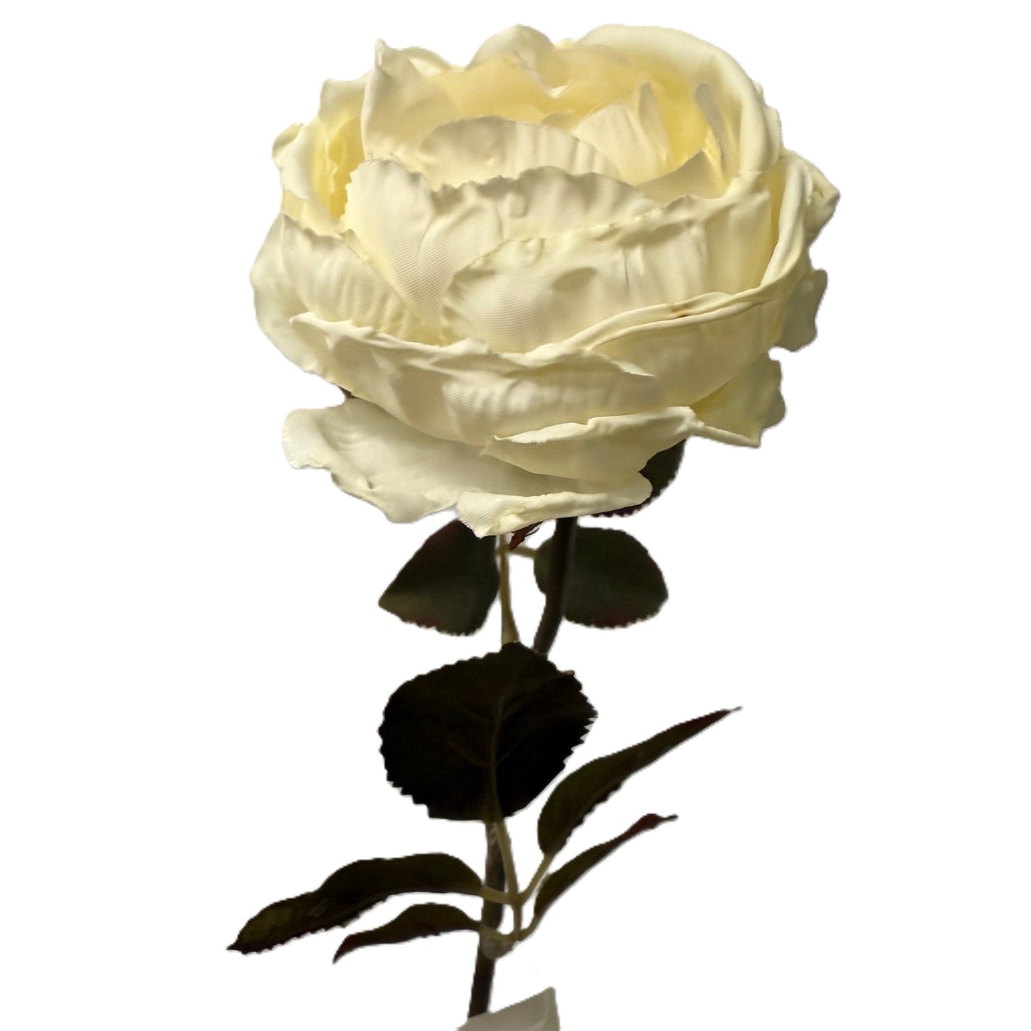 Artificial Rose Stem- Vintage Rose & Cream LGC/PA-IR