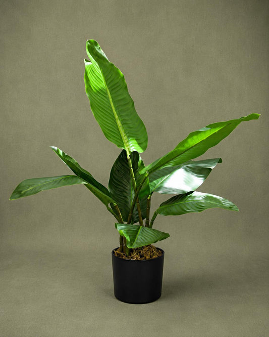 Artificial Bird of Paradise Plant for Home & Office Decor