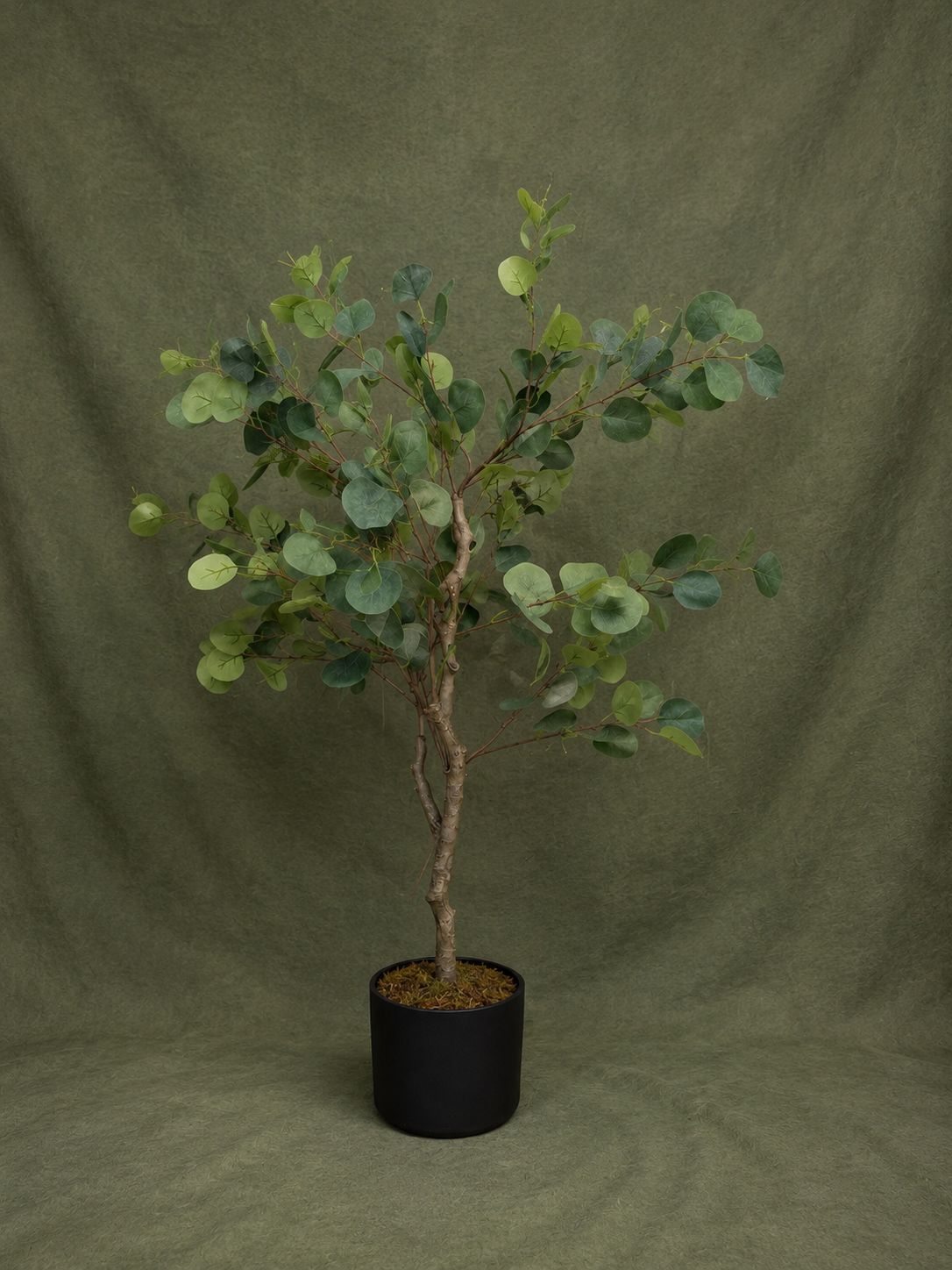 Artificial Eucalyptus Tree 51 in  with Black Pot