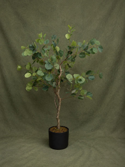 Artificial Eucalyptus Tree 51 in  with Black Pot