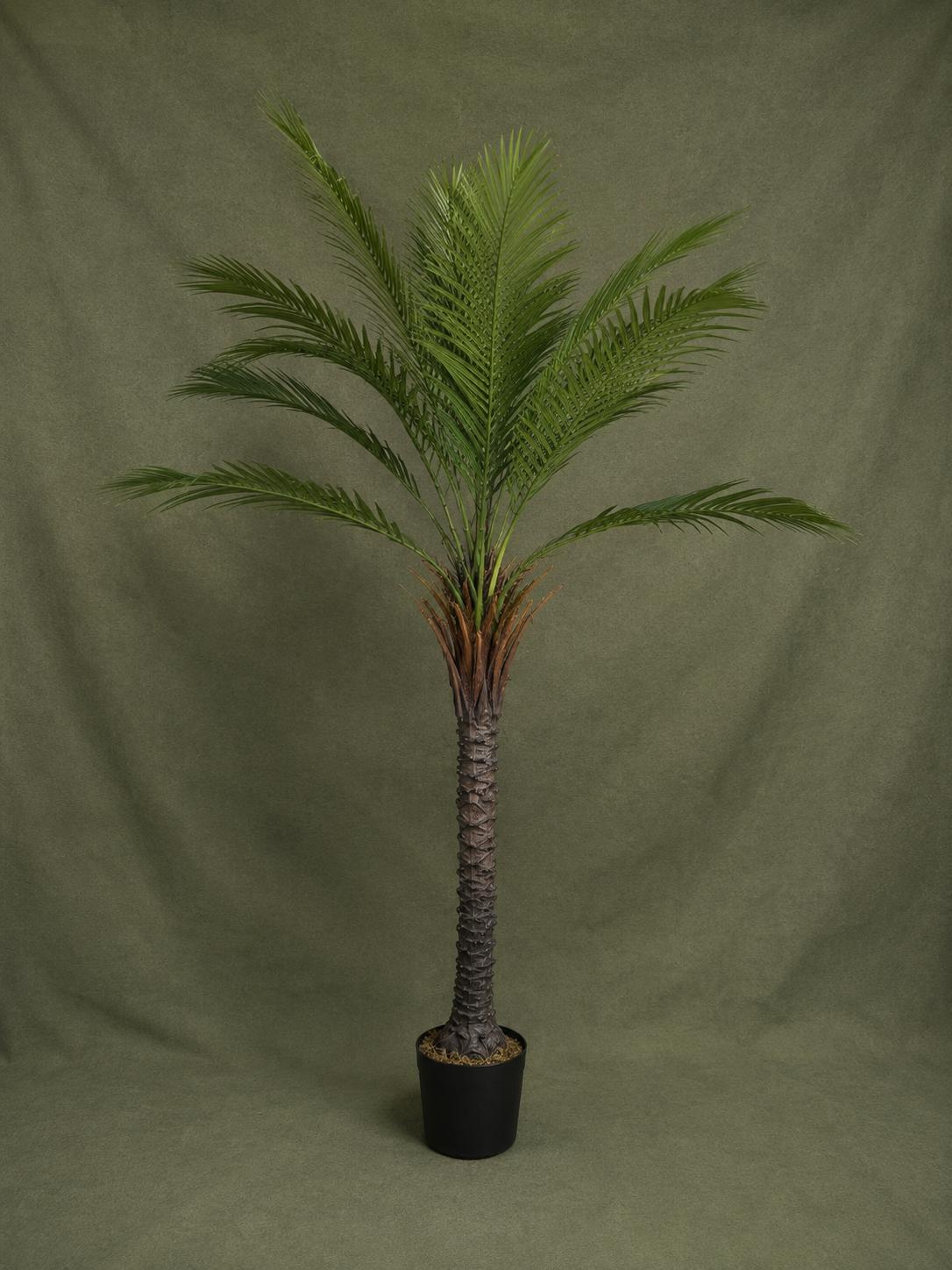 Artificial Palm Tree 59” in Pot | Tropical Indoor Plant Decor