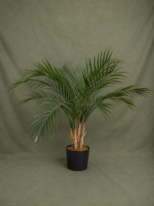 Artificial Areca Palm Tree 35” in Pot | Tropical Indoor Plant Decor