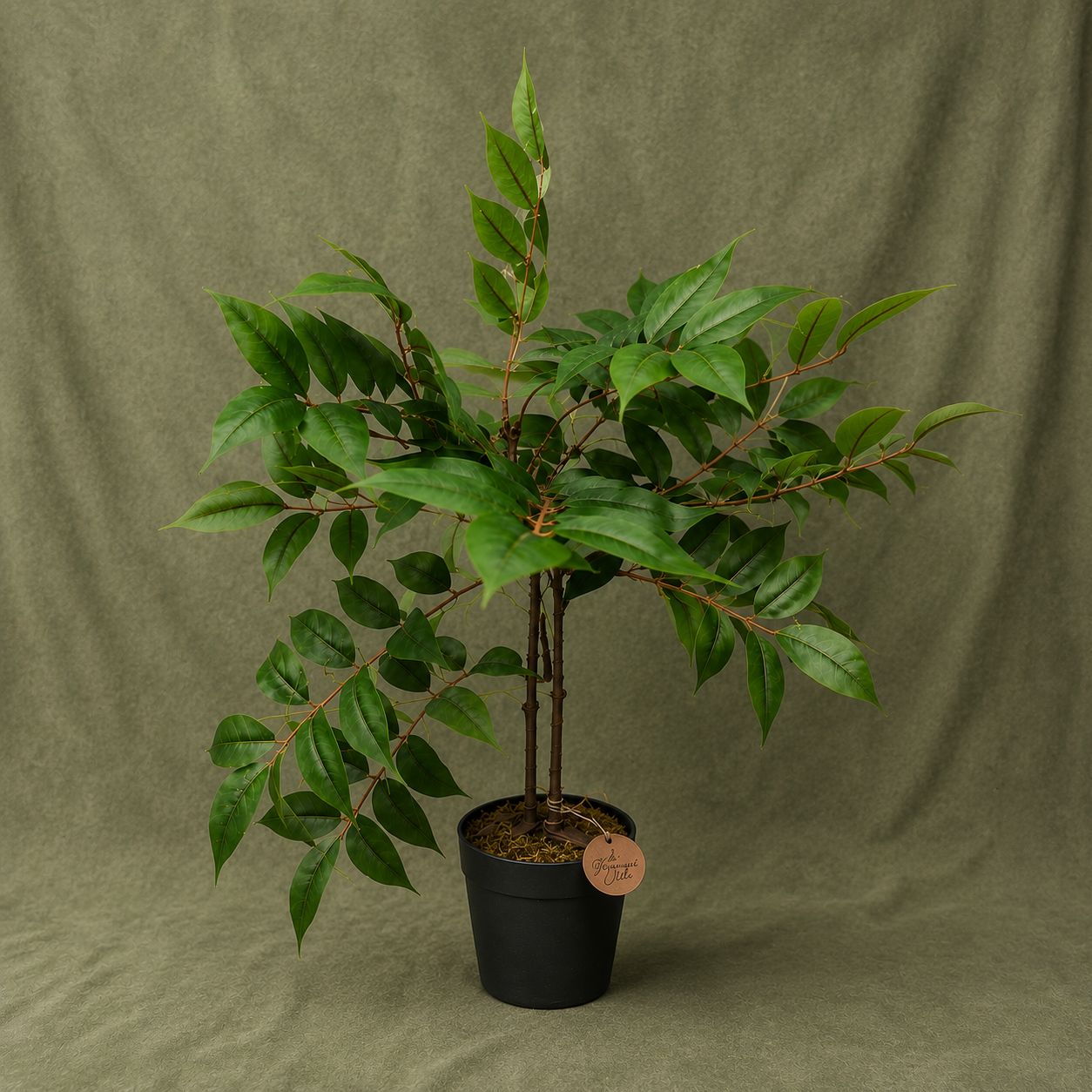 Artificial Ficus Tree in Pot 35 in | Faux Indoor Green Plant Decor