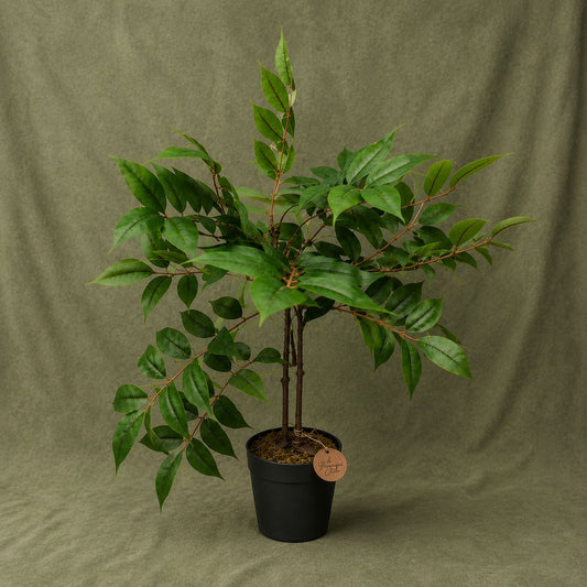 Artificial Ficus Tree in Pot 35 in | Faux Indoor Green Plant Decor