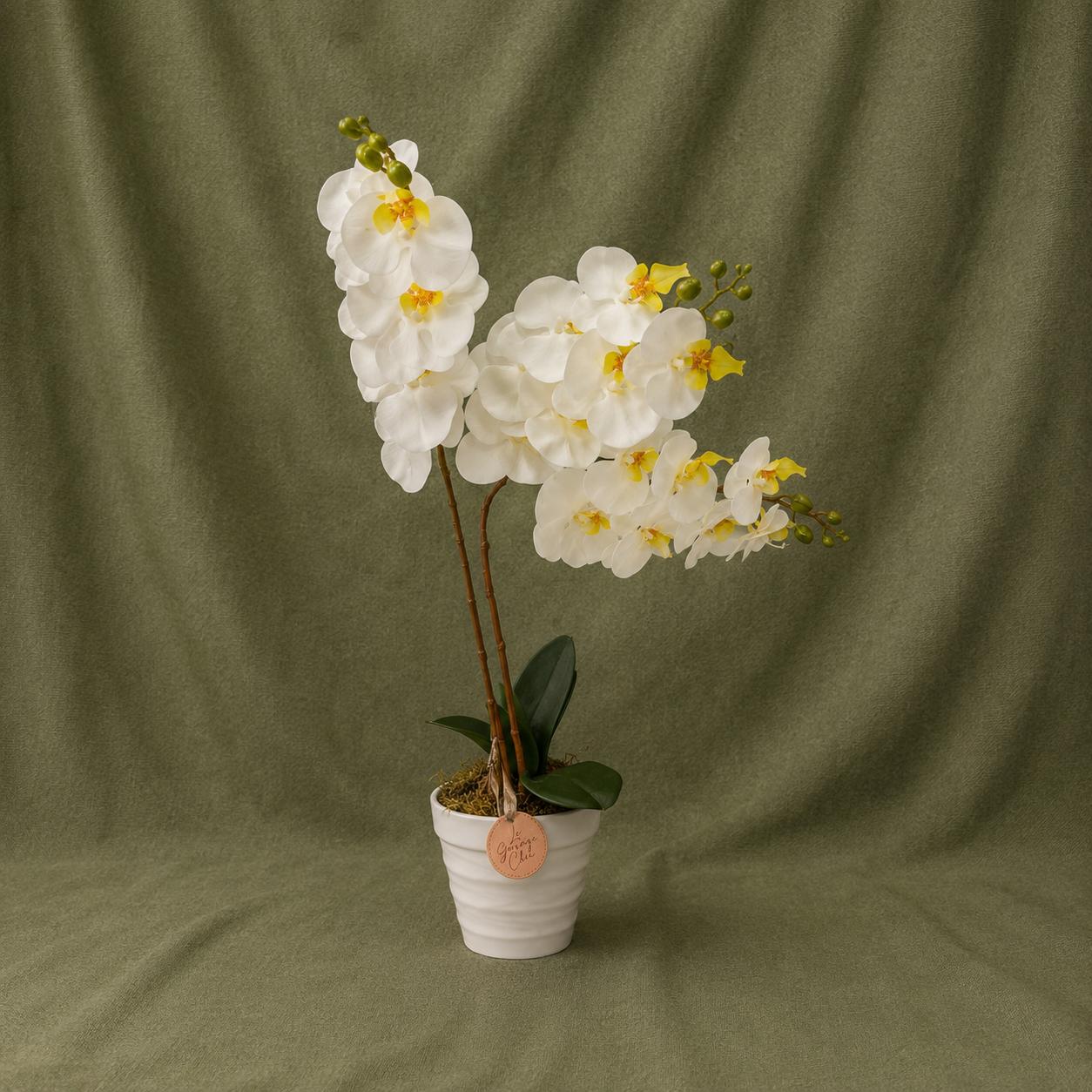 White Artificial Orchid Arrangement in Ceramic Pot – 22” Luxury Floral Decor