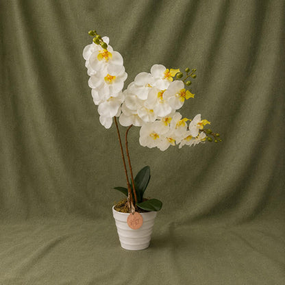 Premium Potted Artificial White Orchid – Luxury Faux Phalaenopsis Centerpiece