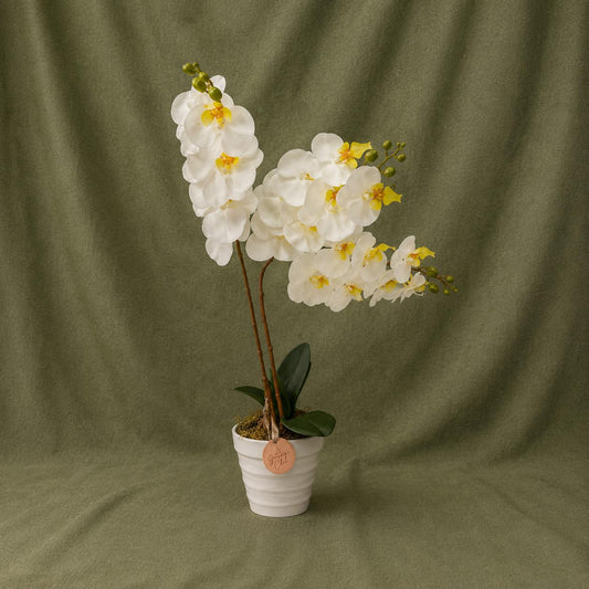 White Artificial Orchid Arrangement in Ceramic Pot – 22” Luxury Floral Decor
