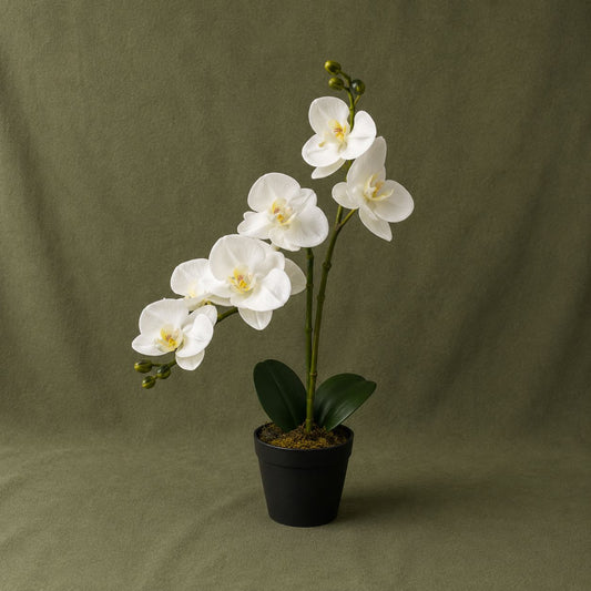 Double White Orchid Arrangement in Pot – 16” Faux Phalaenopsis Orchid