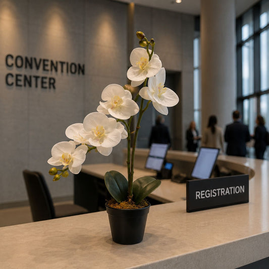 Premium Potted White Orchid Plant – Luxury Artificial Phalaenopsis Table Centerpiece
