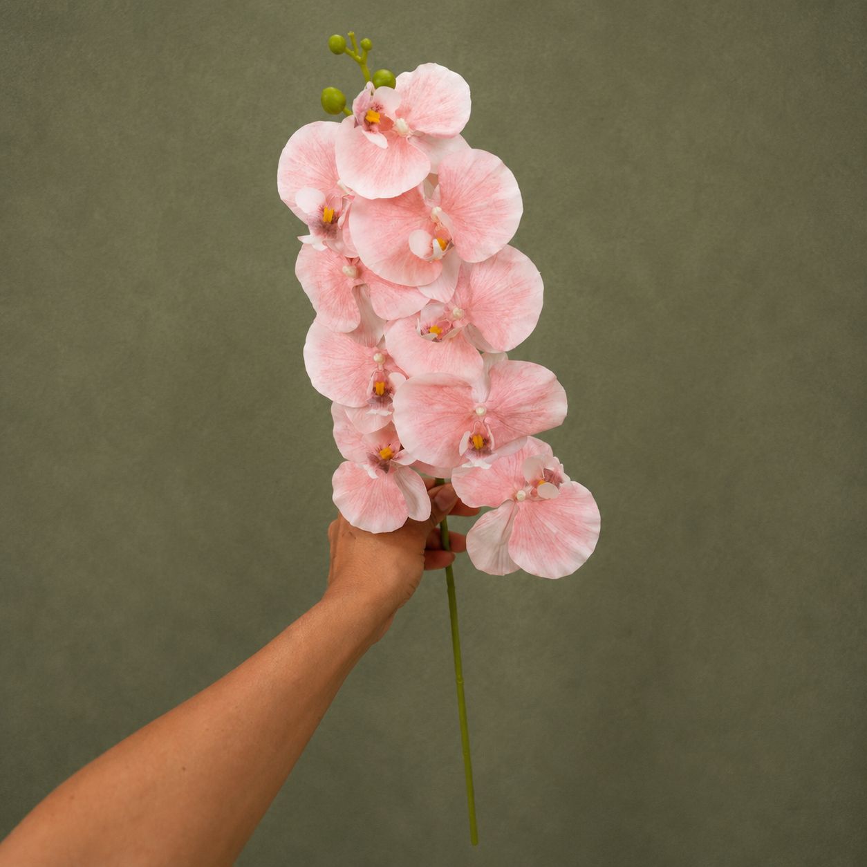 Pink Phalaenopsis Orchid Stem | Artificial Orchid Spray Miami