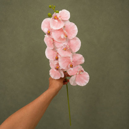 Pink Phalaenopsis Orchid Stem – Premium Real-Touch Artificial Orchid Spray