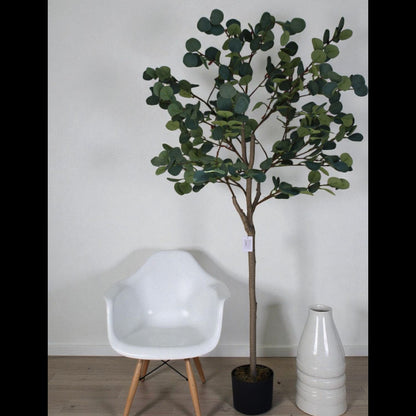 Potted plant next to a white chair and decorative vase against a plain wall.