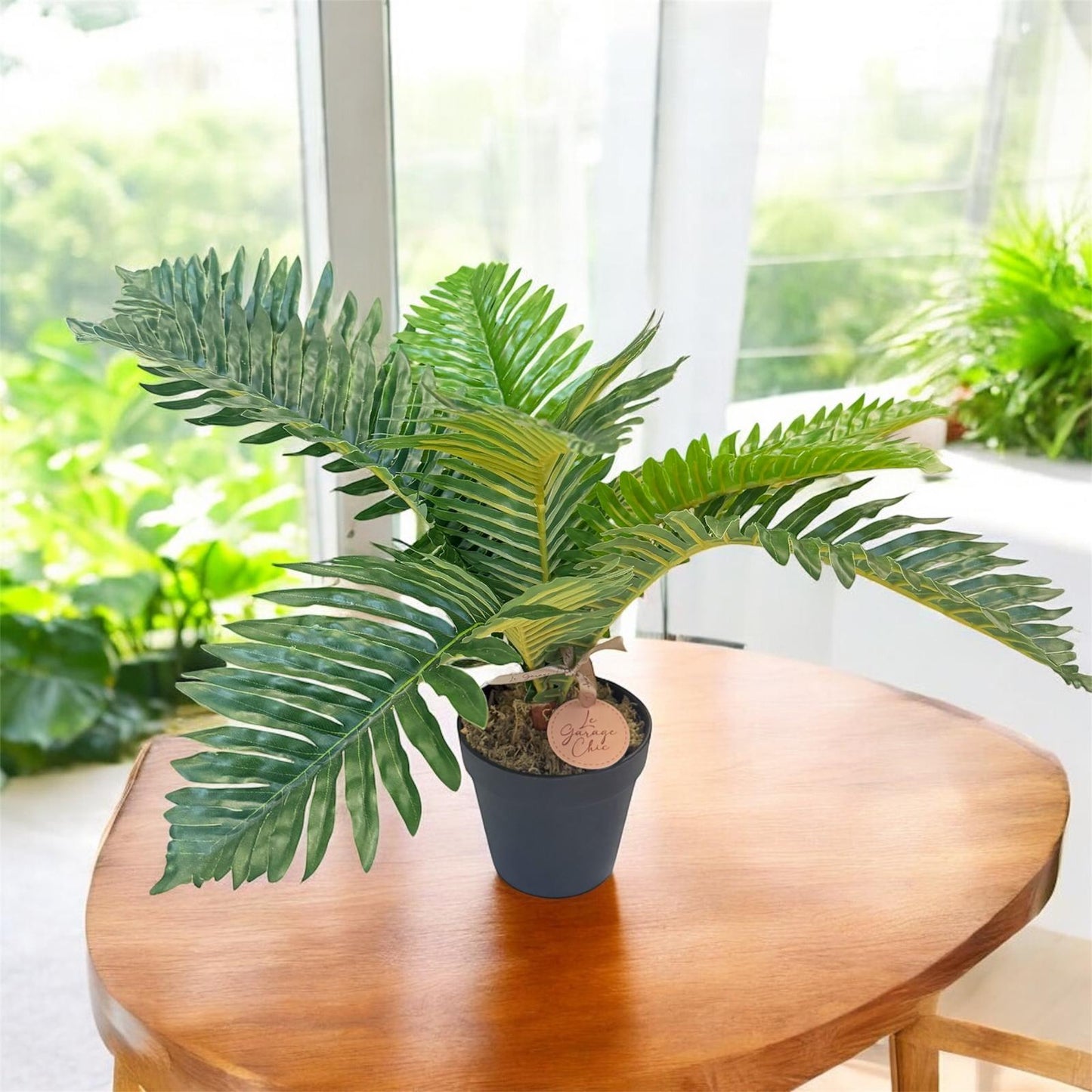 Potted plant on a wooden table with a bright background