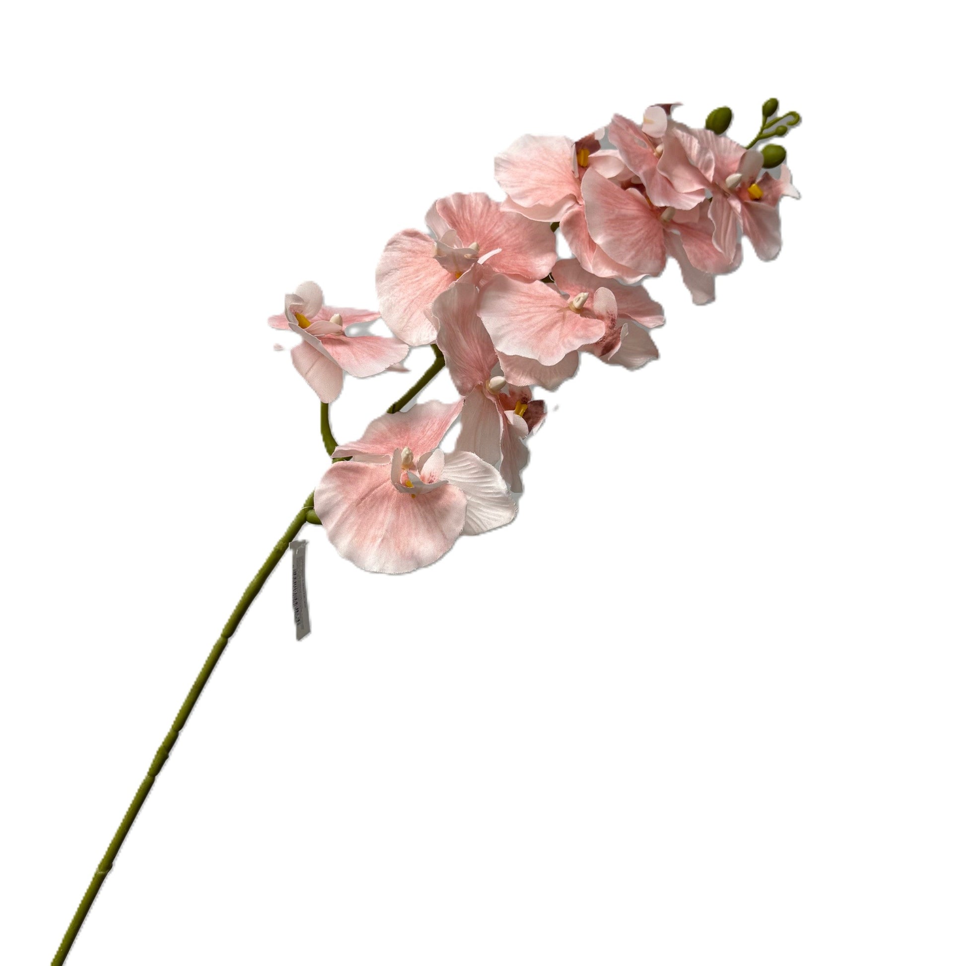 Pink artificial orchid flower stem on a white background