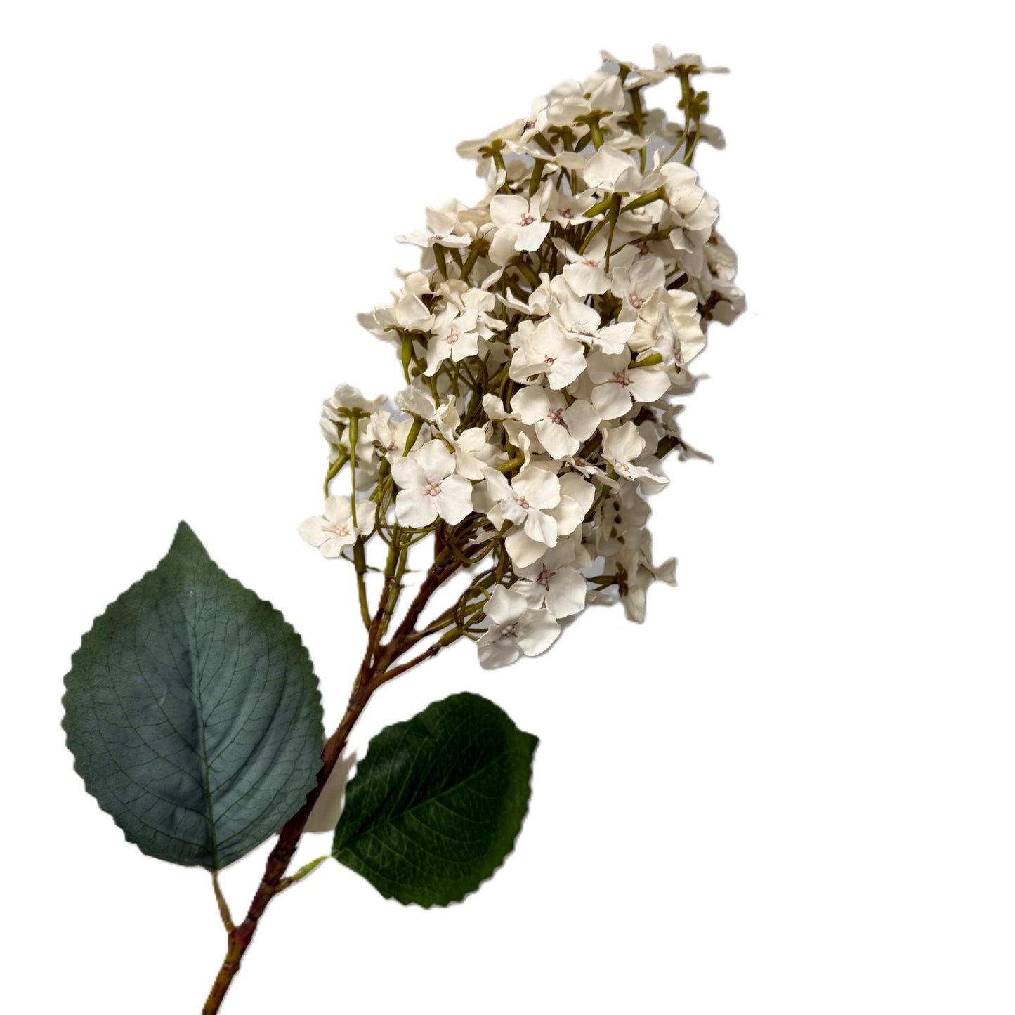 Artificial flower branch with white flowers and green leaves on a white background