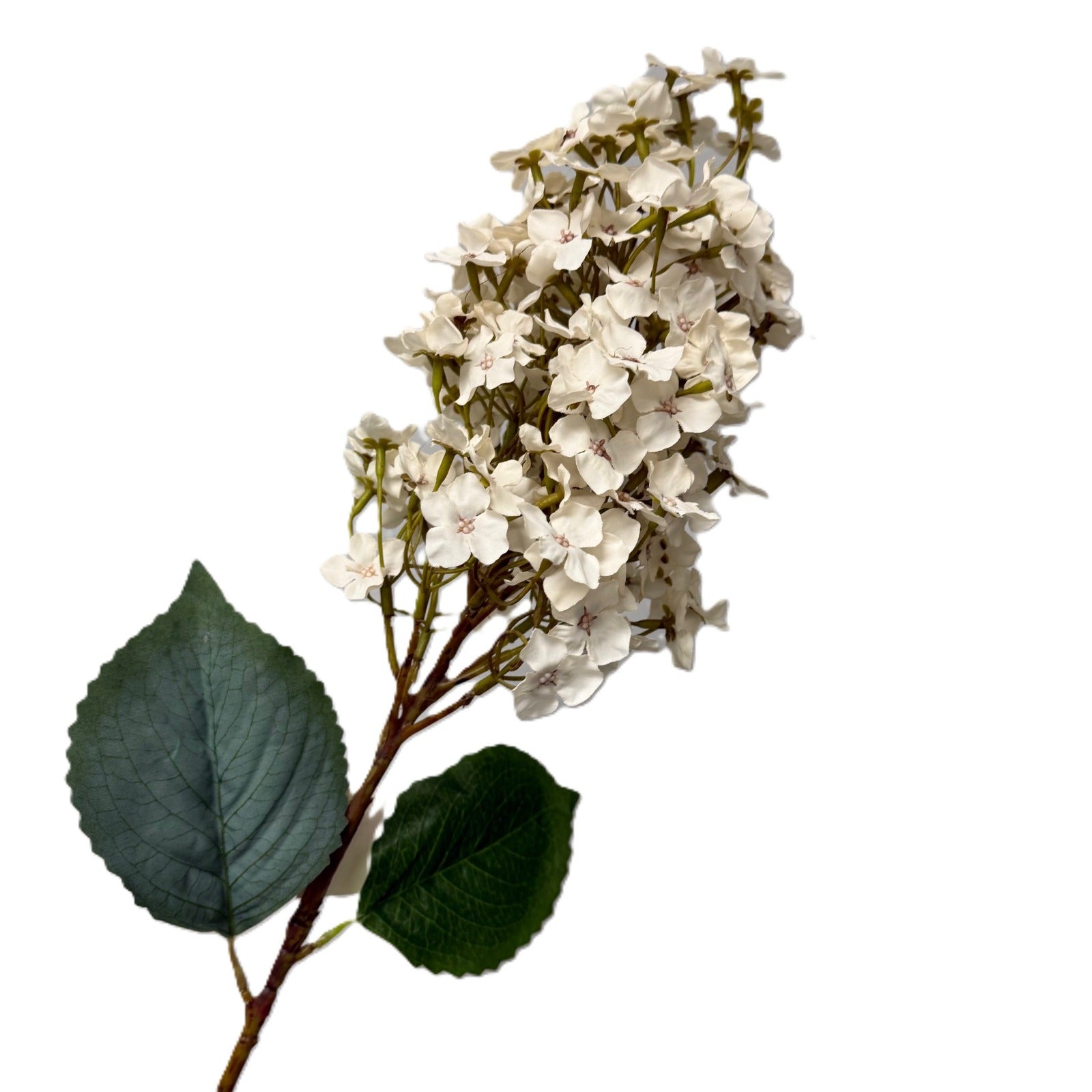 Artificial flower branch with white flowers and green leaves on a white background